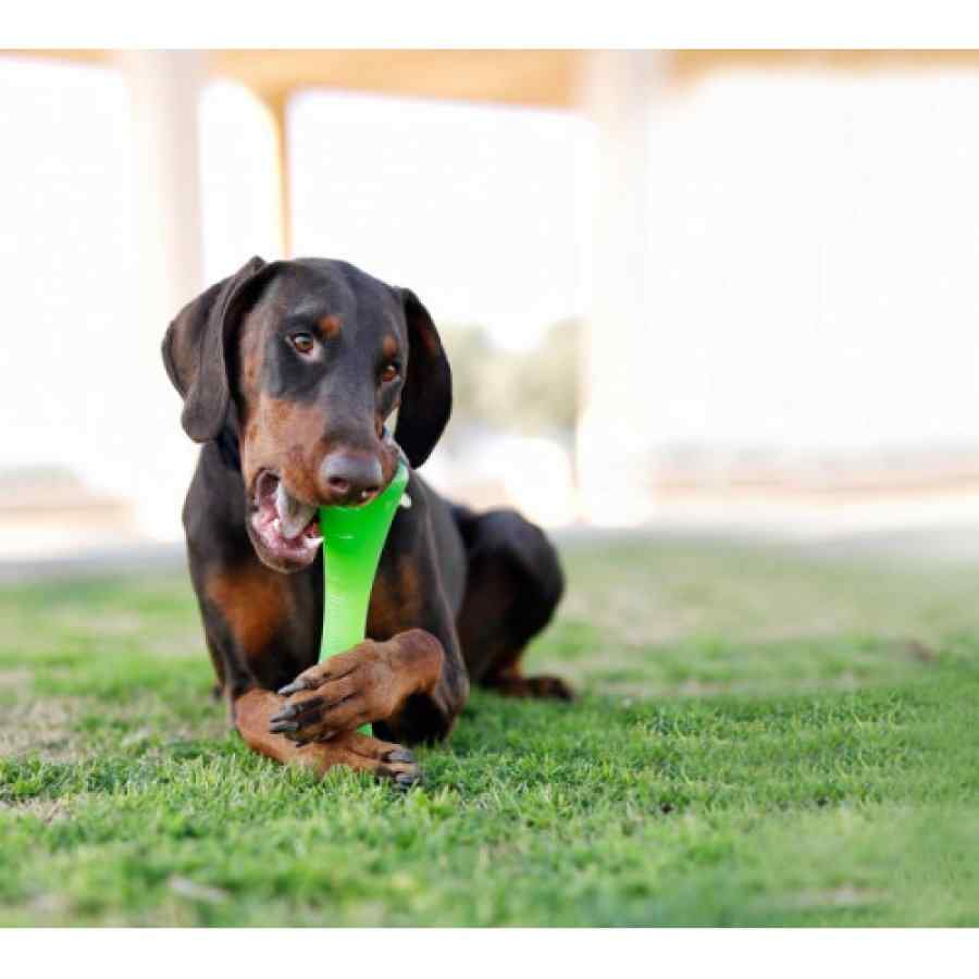 Petstages Bionic Opaque Stick Grn LG, , large image number null