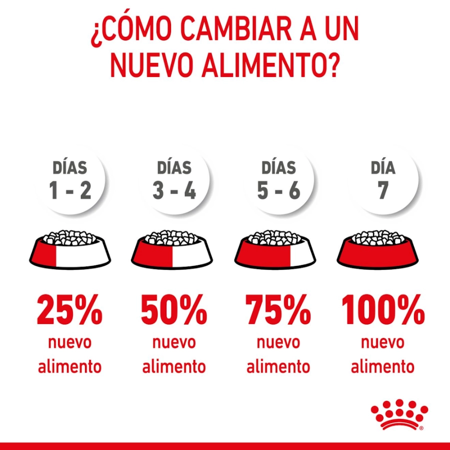 Royal Canin Shn Maxi Puppy Cd 10Kg, , large image number null