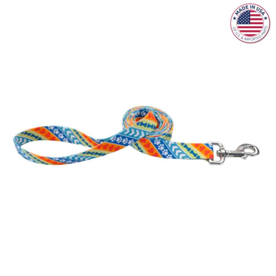 Coastal Leader Dogs For The Blind Styles Dog Leash, Resolve, , large image number null