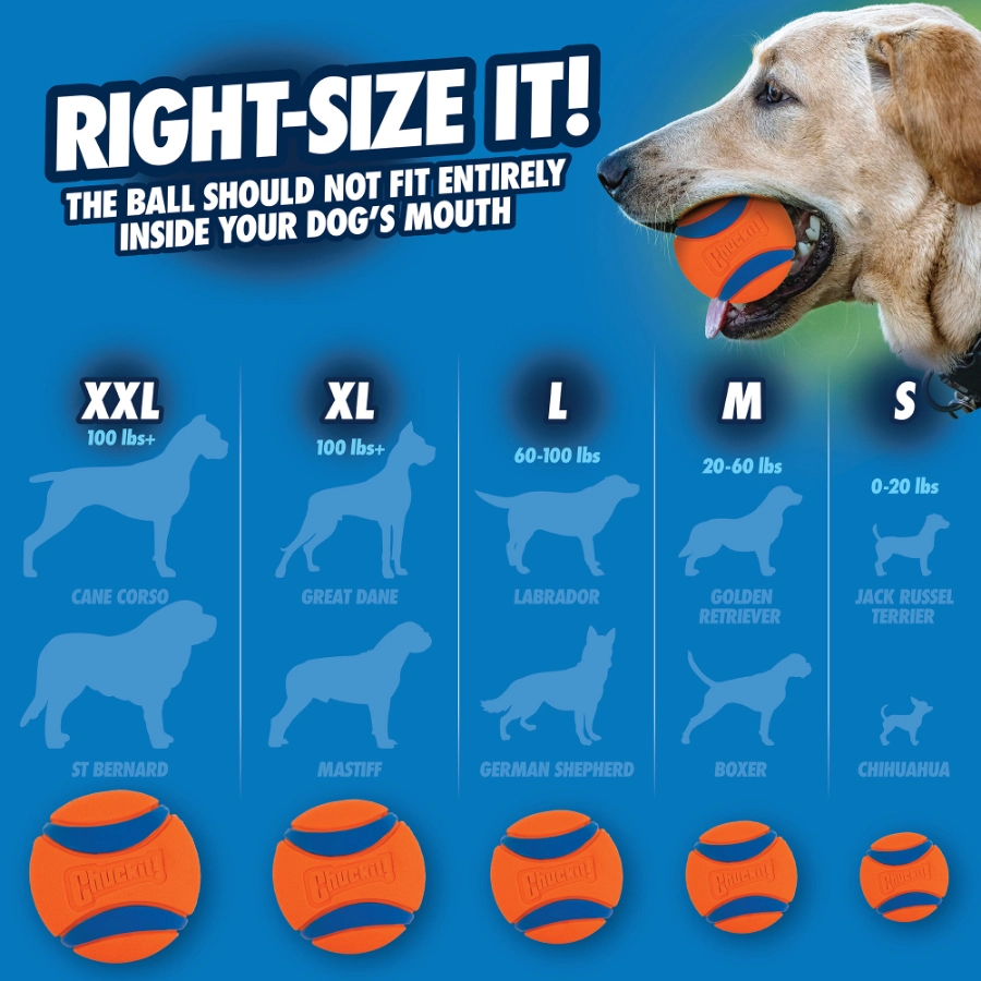 Chuckit! Ultra Ball 2Pk Sm, , large image number null