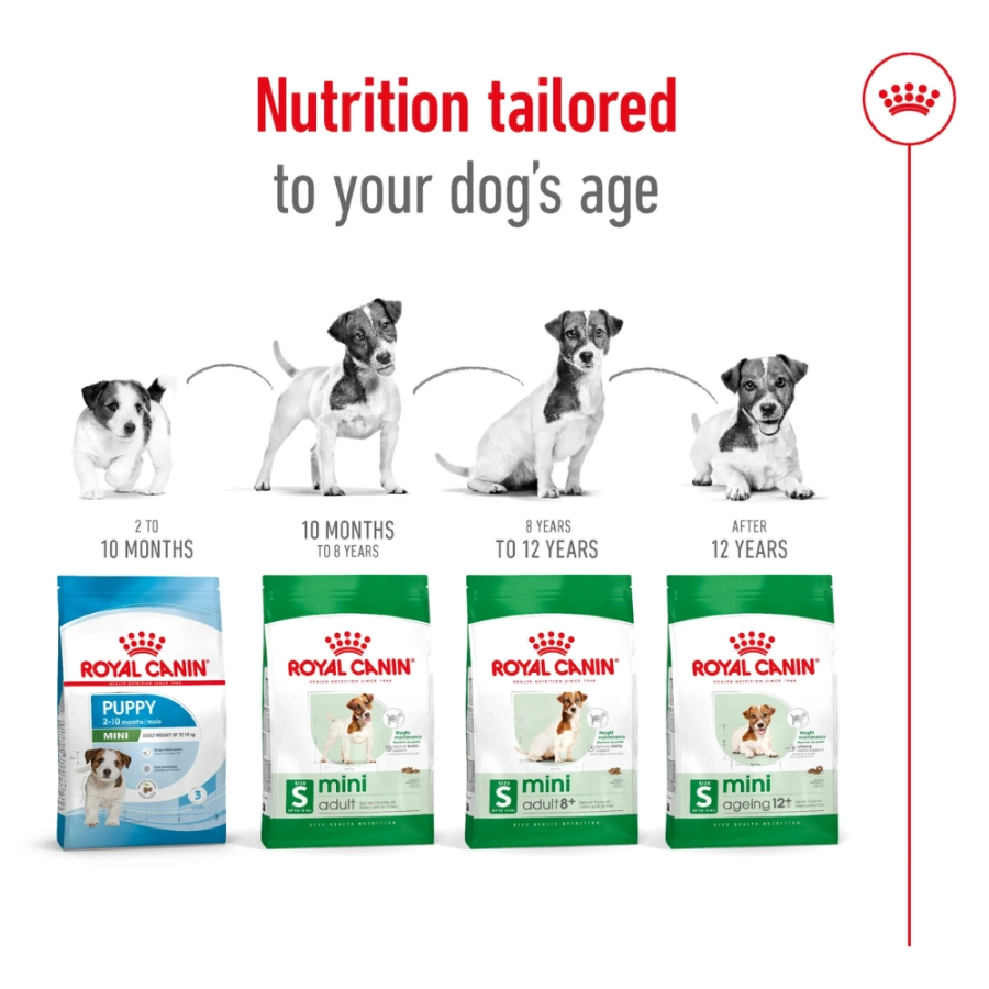 Royal Canin Perro Shn Mini Adult, , large image number null
