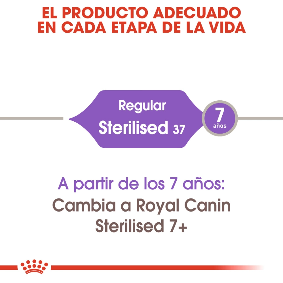 Royal Canin Gato Fhn Sterilised 37, , large image number null
