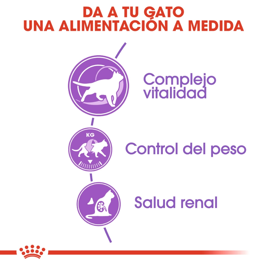 Royal Canin Gato Fhn Sterilised 37, , large image number null
