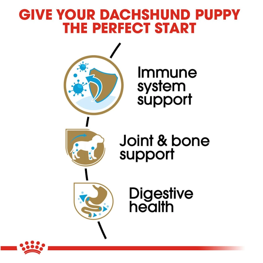 Royal Canin Perro Bhn Dachshund Puppy 1.5 Kg, , large image number null