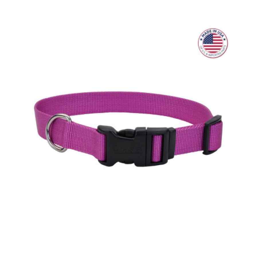 Coastal Adjustable Dog Collar With Plastic Buckle, Orchid, Large 1" X 18" 26"