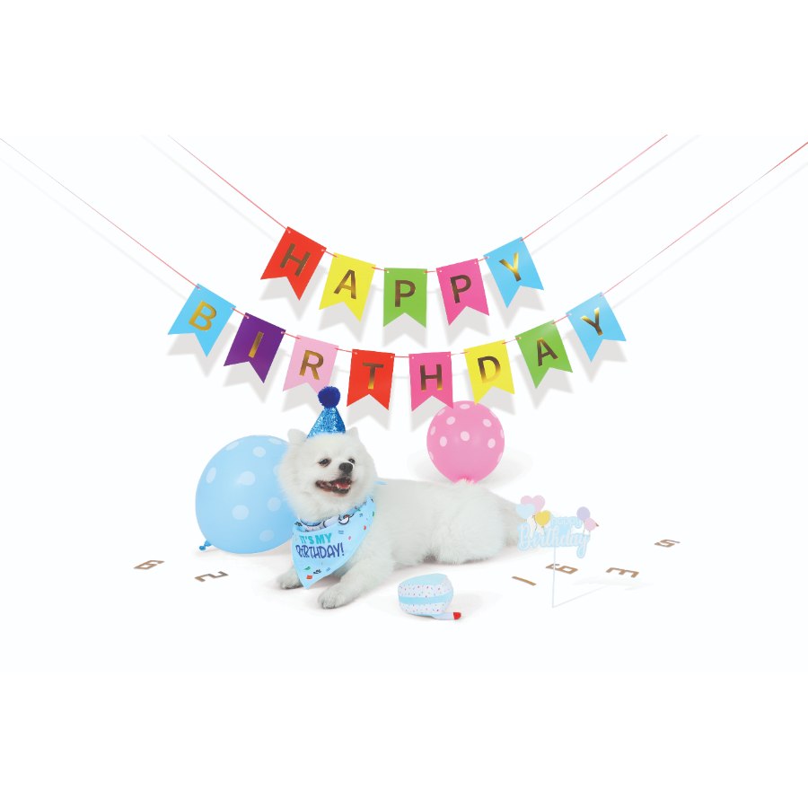 Petjoy Partytime Dog Gentleman'S Set, , large image number null