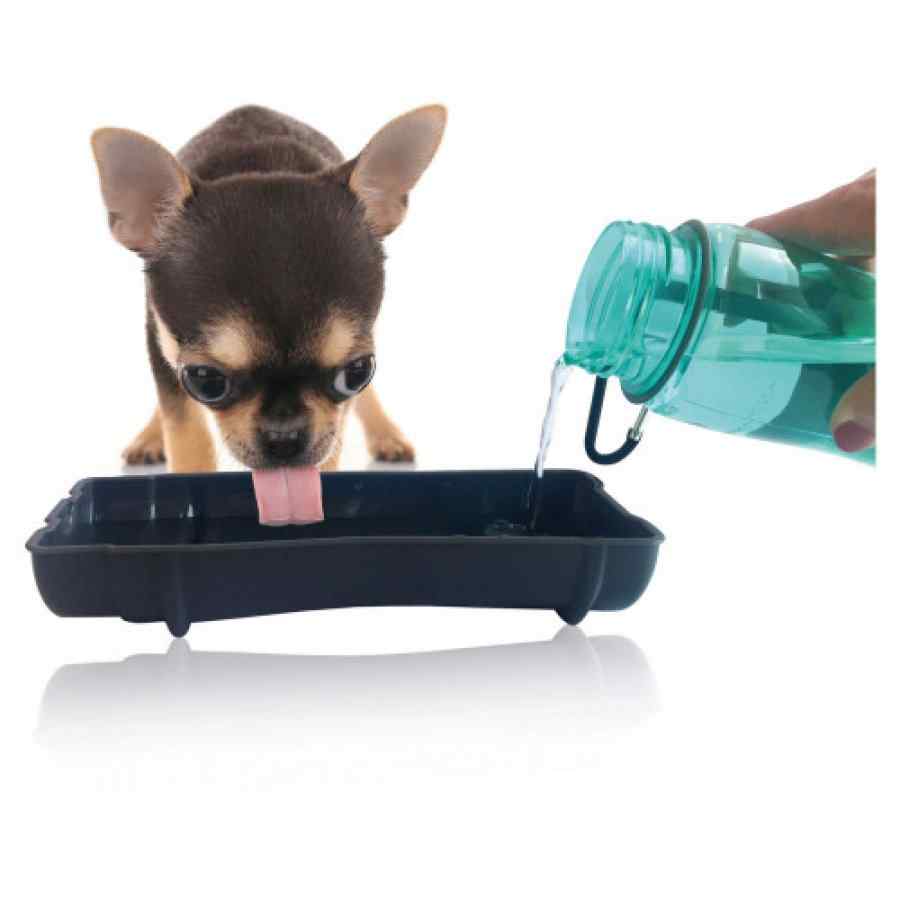Botella Mpets Dog Tavel Bottle , , large image number null