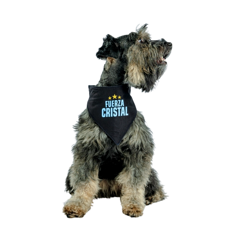 Bandana Alterna Sporting Cristal Colección 2025, , large image number null