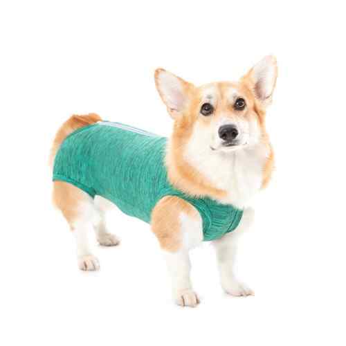 Petmed Ropa Pos Quirurgica Regular Verde Talla 4, , large image number null
