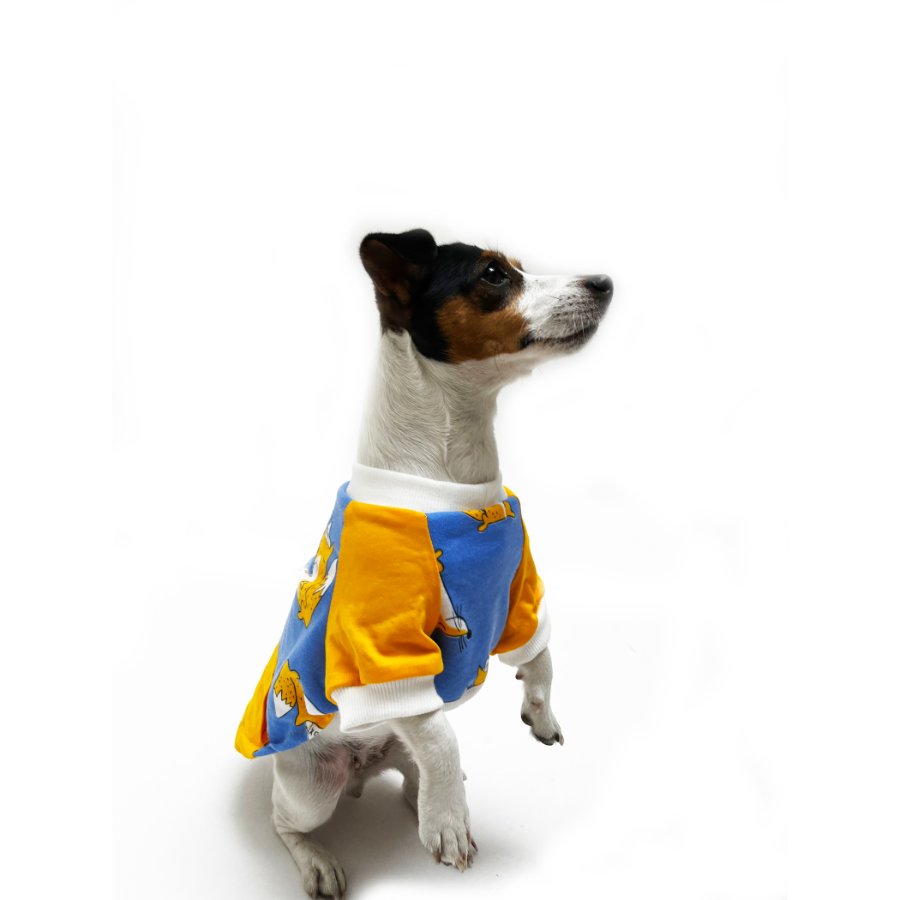 Yupi The Pug - Polo Surtido Macho, , large image number null