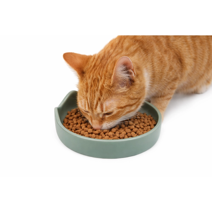 Plato Cer&aacute;mico Para Gato Leeby