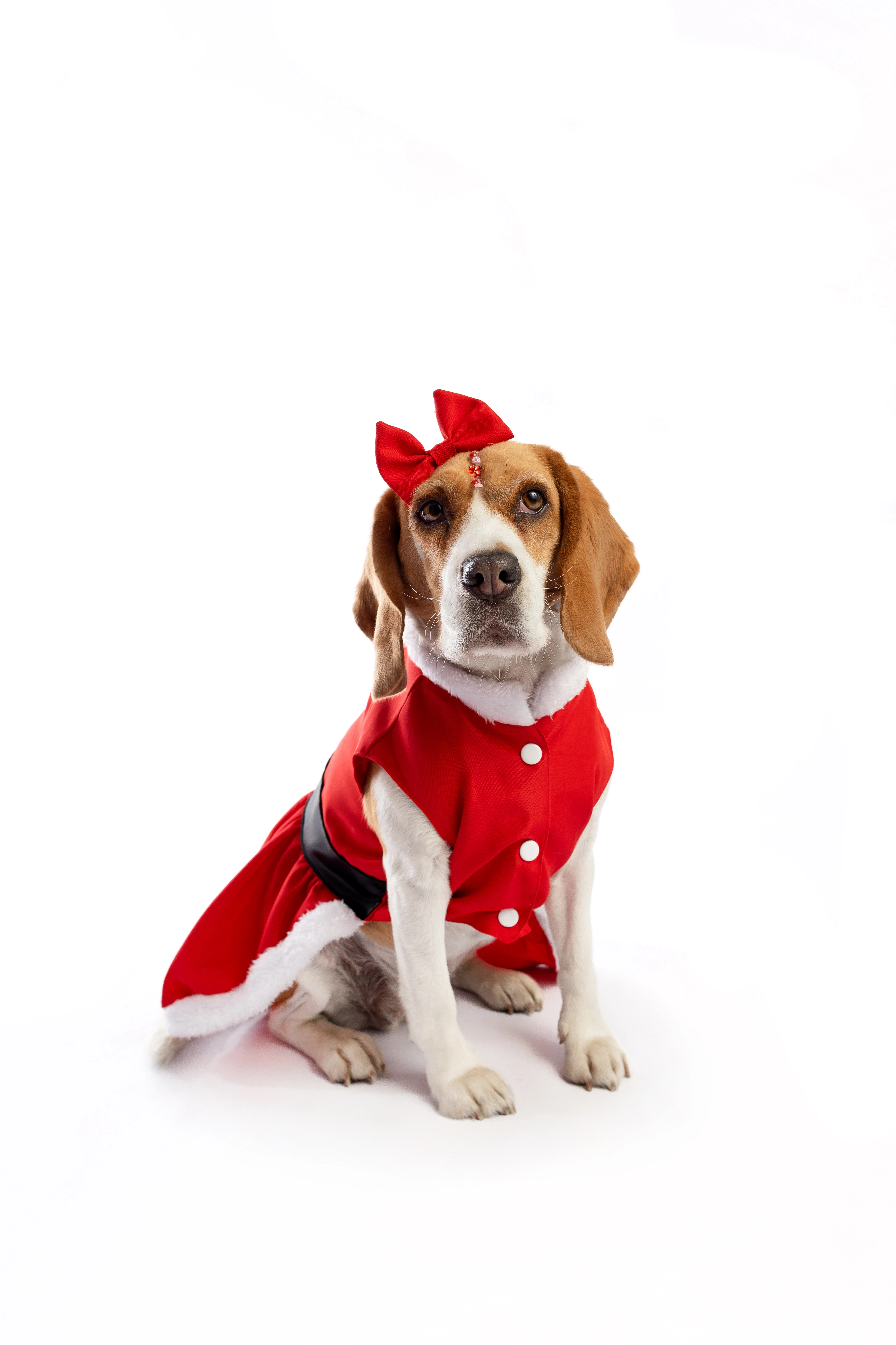 Lmb Vestido Navidad  Santa, , large image number null