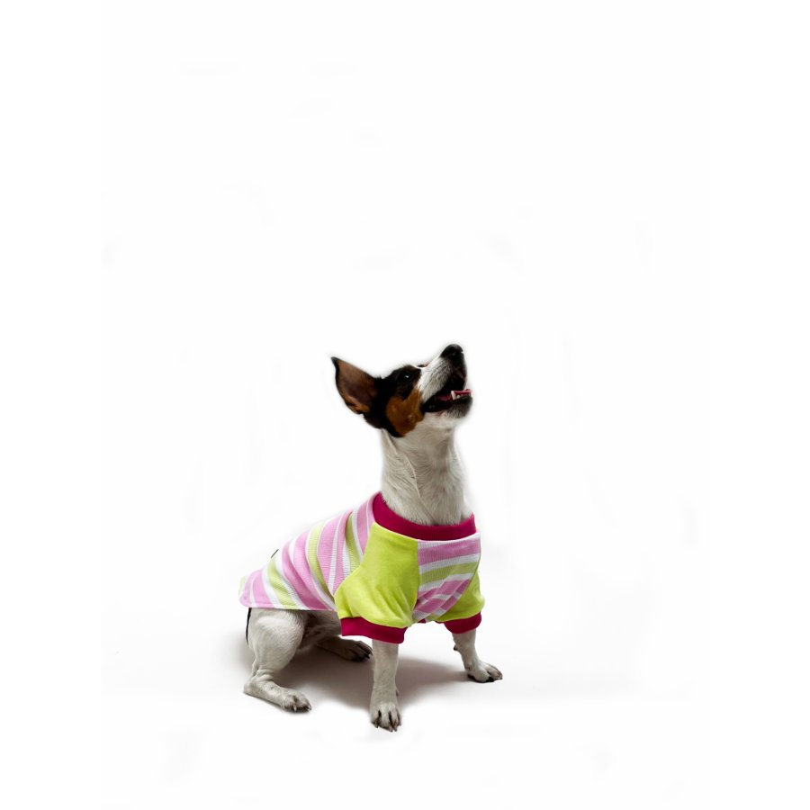 Yupi The Pug - Polo Surtido Hembra, , large image number null