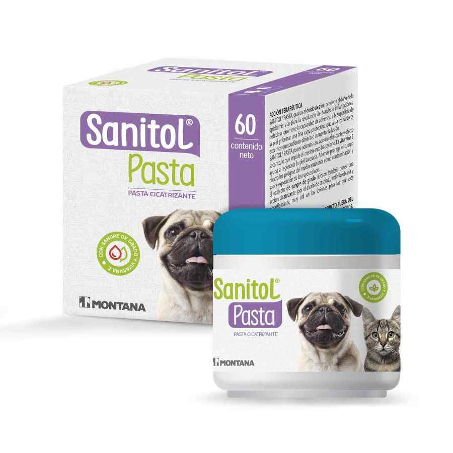 Sanitol Pasta X 60g, , large image number null