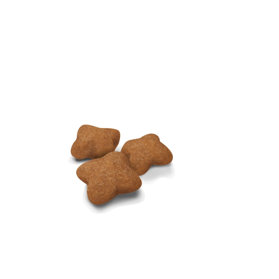 Pack Kitten Esterilizado 400 G, , large image number null