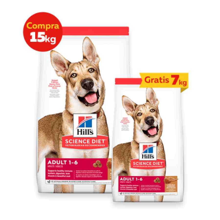 Hills Sd Adult Lamb & Rice 33 Lb Cordero Y Arroz (14.96 Kg) + 7Kg Gratis Alimento Seco Perro