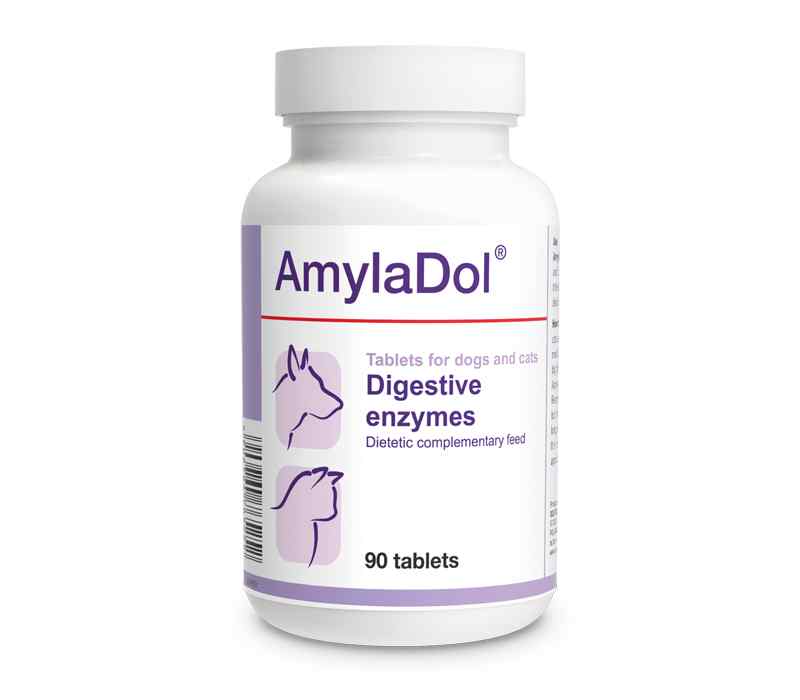 Amyladol (Enzimas Digestivas Naturales: Amilasas, Proteasas Y Lipasas)x90Tab image number null