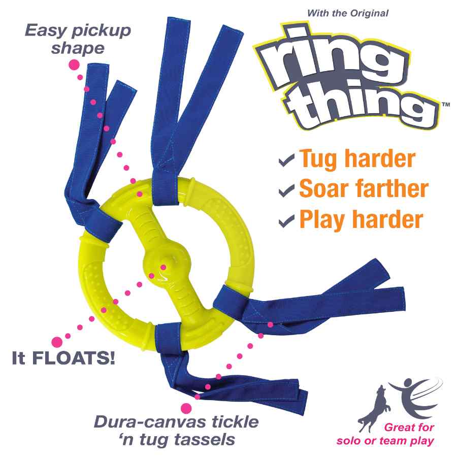 Nylabone Power Play Ring Thing, , large image number null