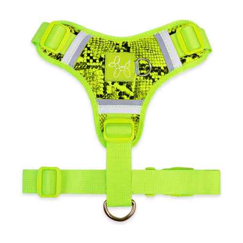 Arnes Python Amarillo Neon , , large image number null