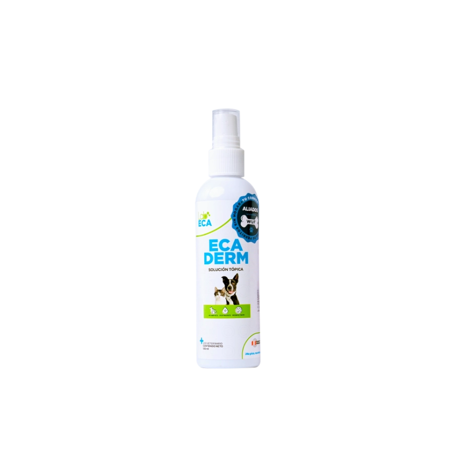 Antibacterial Ecaderm 1 Spray x 120 Ml