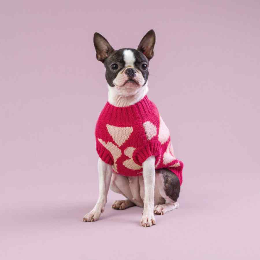 Sweater Para Perro Heart , , large image number null