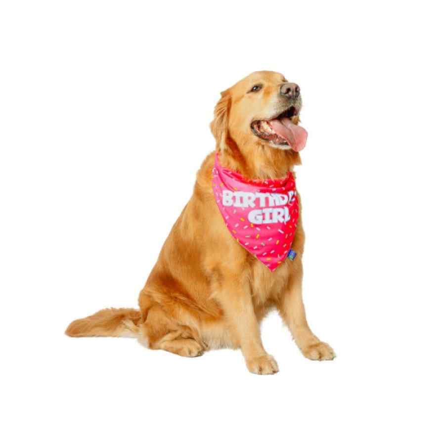 Patudos Y Peludos Bandana Cumpleañera Rosado Y Fucsia, , large image number null