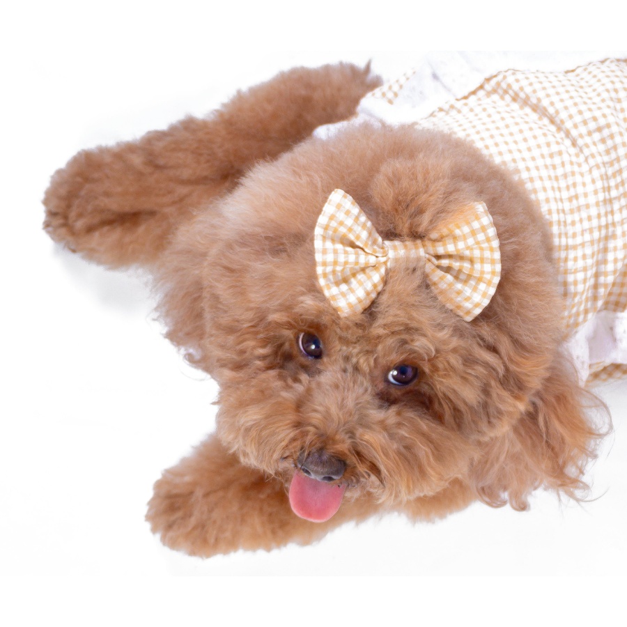 Lmb Lazo Beige, , large image number null