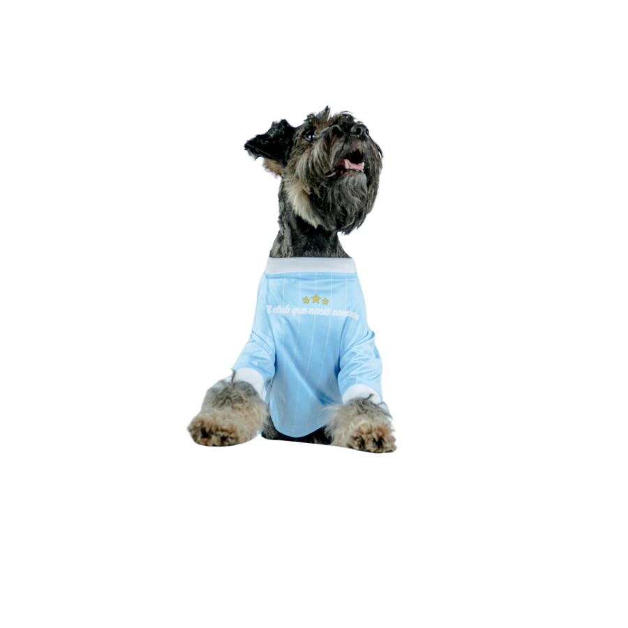 Camiseta Sporting Cristal Oficial Colección 2025, , large image number null