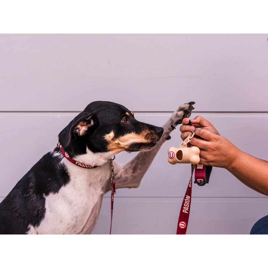 Dispensador De Bolsas Universitario + Bolsas, , large image number null