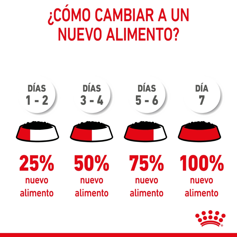 Royal Canin Gato Fhn Sterilised 37, , large image number null