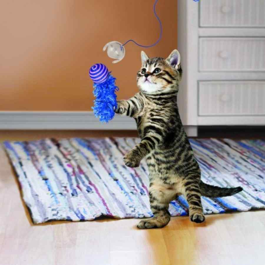 KONG FISHING POLE TEASER CAT44, , large image number null