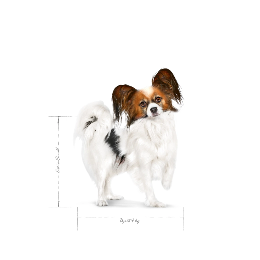 Royal Canin Perro Shn Xsmall Adult 1.5 Kg, , large image number null