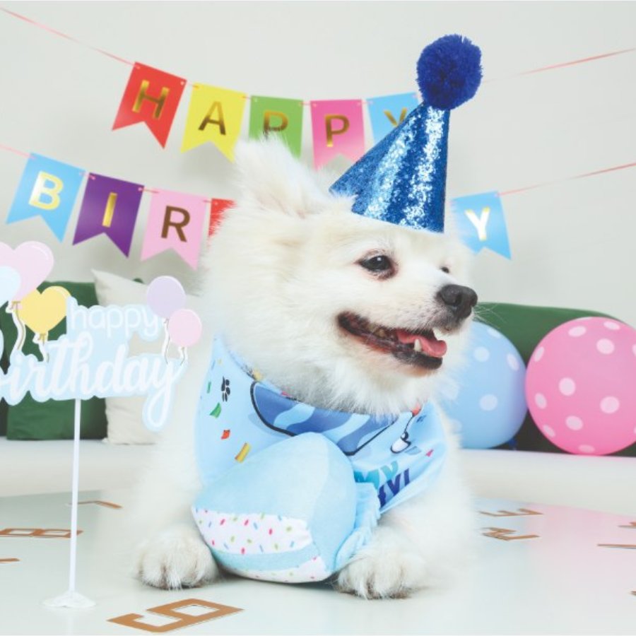 Petjoy Partytime Dog Gentleman'S Set, , large image number null