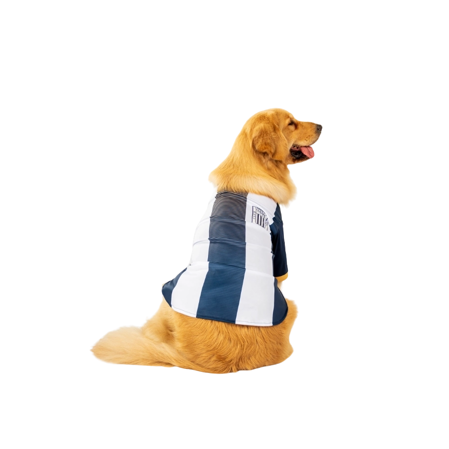 Camiseta Alianza Lima Oficial Colección 2025, , large image number null