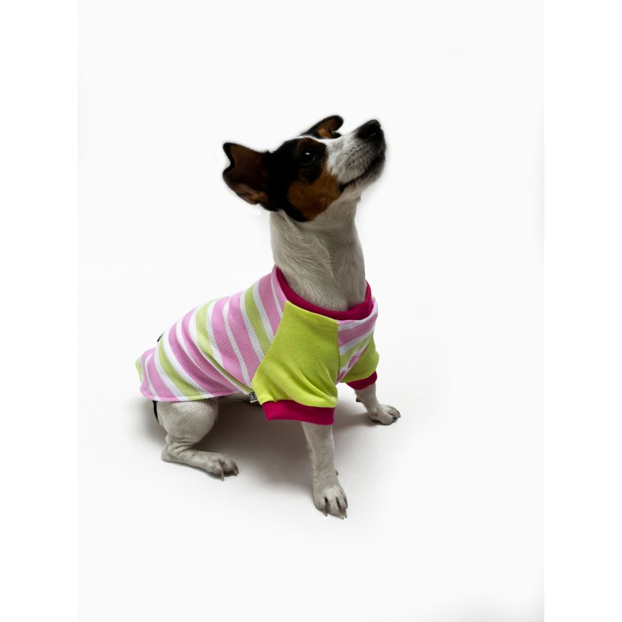 Yupi The Pug - Polo Surtido Hembra, , large image number null