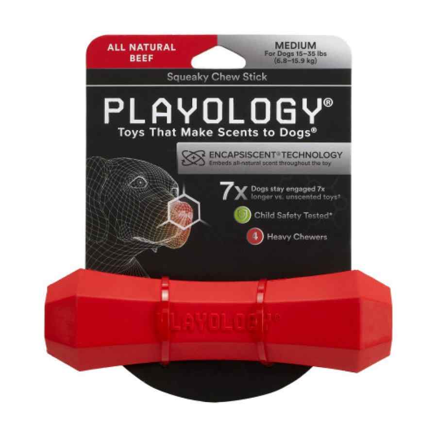 Playology Squeaky Chew Stick - Palo Masticable Sabor Carne De Res