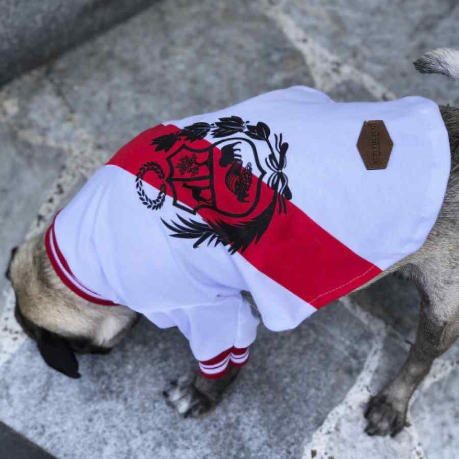 Polo Camiseta Perú, , large image number null