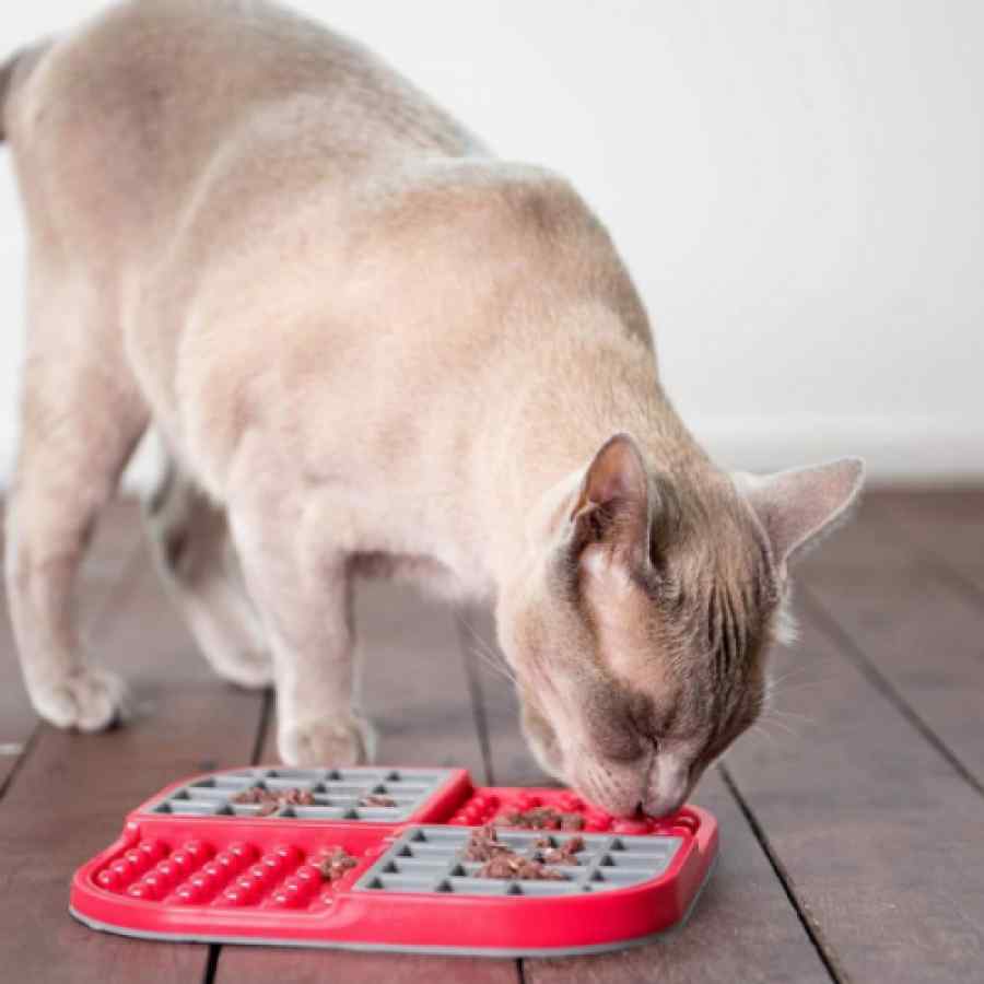 Lickimat Slomo Red Dog Plato Anti Ansiedad, , large image number null