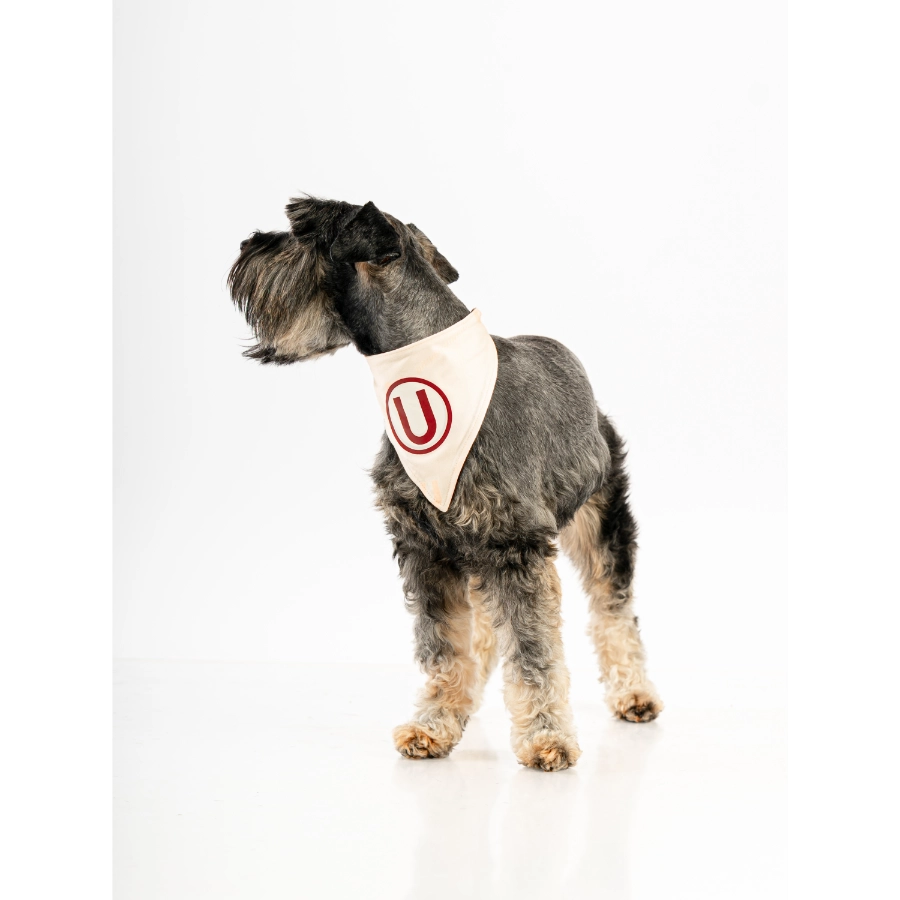 Bandana Oficial Colecci&oacute;n 2026 Universitario, , large image number null