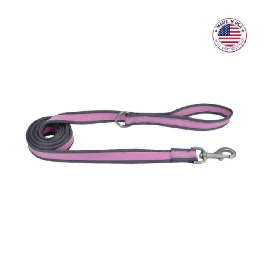 Coastal Pro Reflective Dog Leash, Bright Pink With Grey, 1" X 06'
