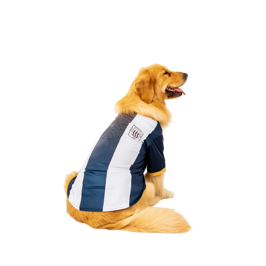 Camiseta Alianza Lima Oficial Colección 2025, , large image number null