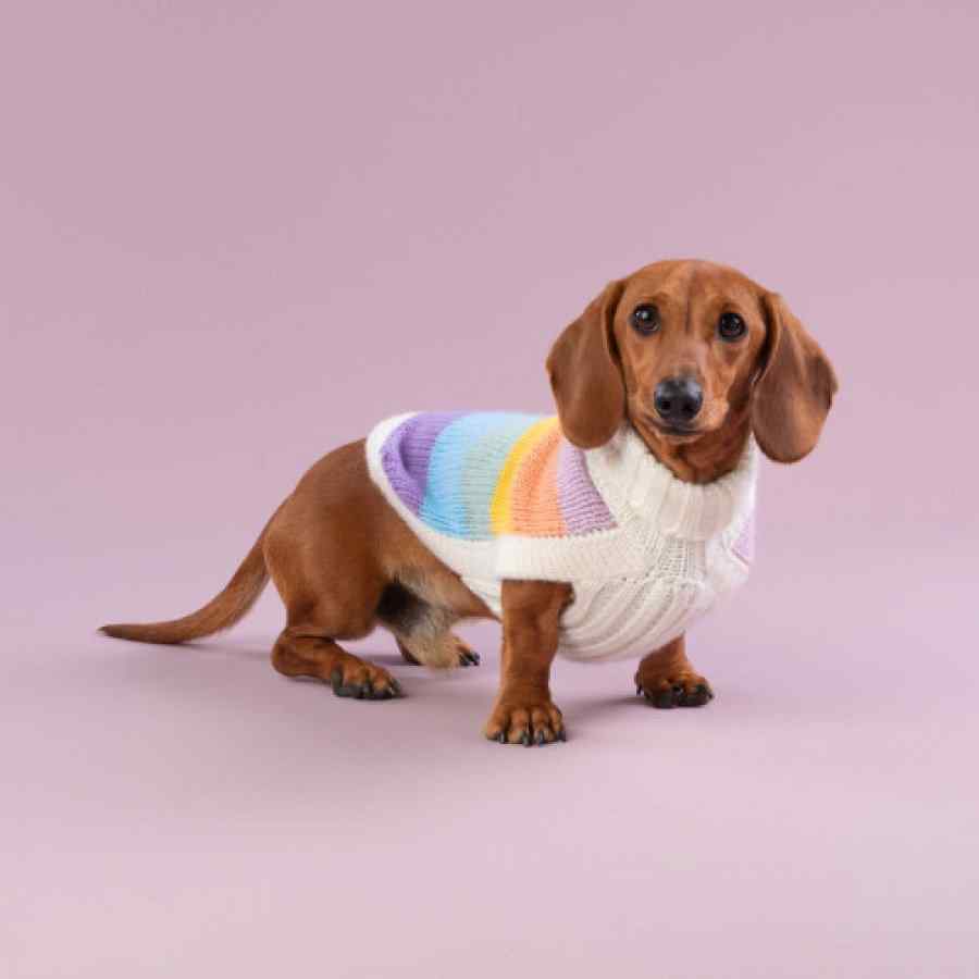 Sweater Para Perro Rainbow , , large image number null