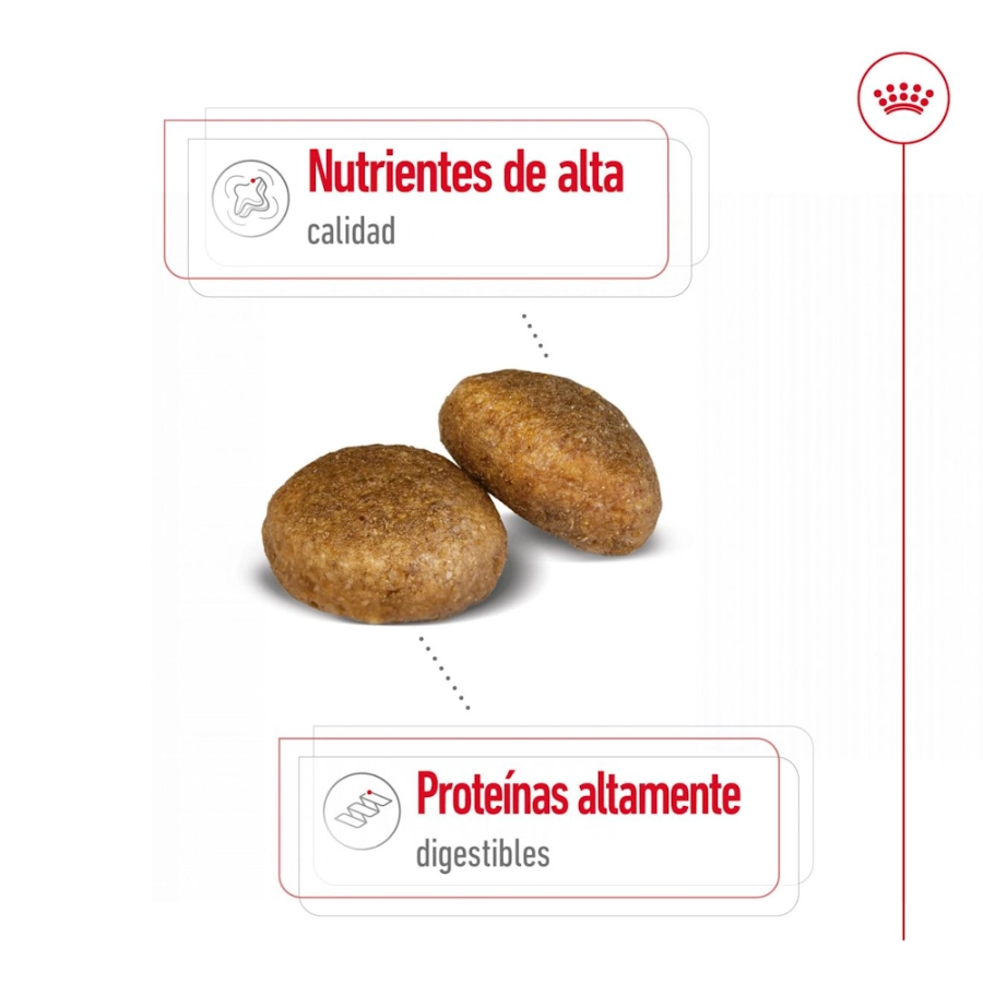 Royal Canin Perro Shn Maxi Adult 15 Kg, , large image number null