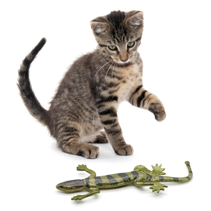 Playology Gato Lagartija Brillante, , large image number null