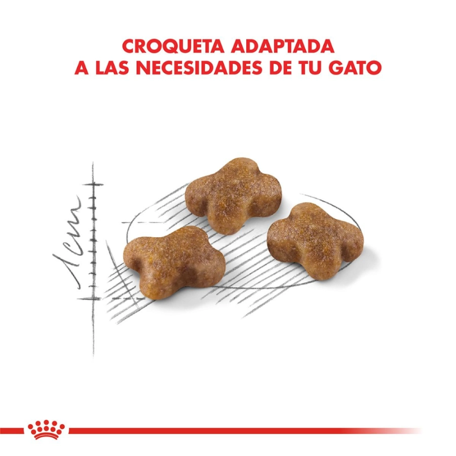 Royal Canin Gato Fhn Kitten 2 Kg, , large image number null