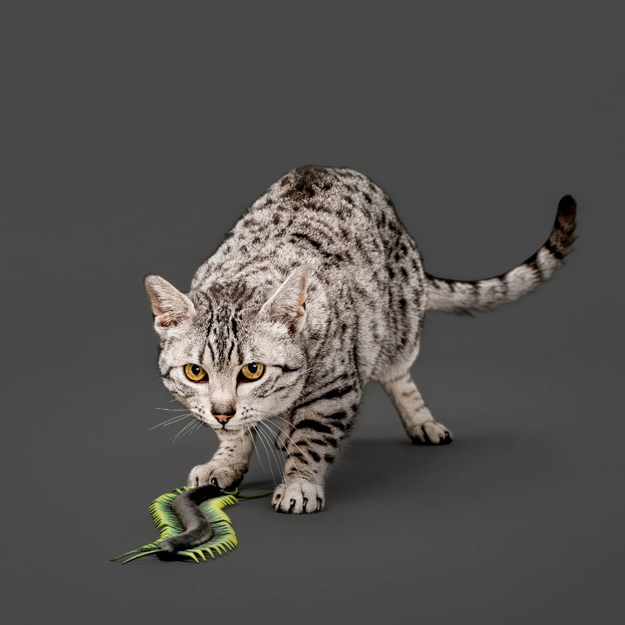 Playology Cat Centipede, , large image number null