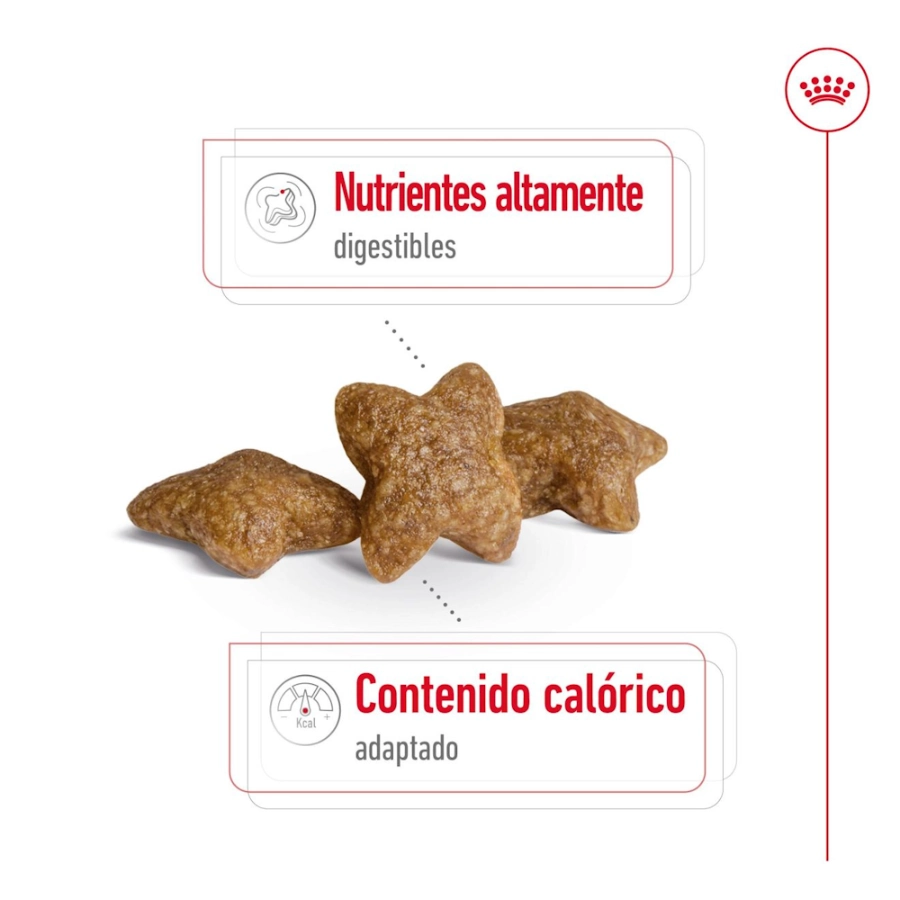 Royal Canin Perro Shn Mini Adult, , large image number null
