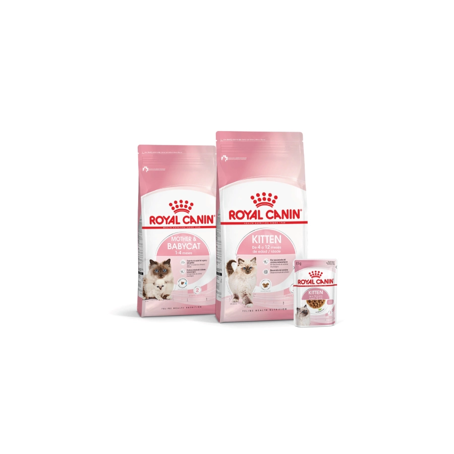 Royal Canin Gato Fhn Kitten Jelly 85 g, , large image number null