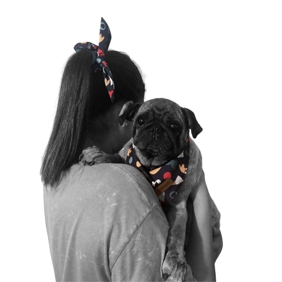Yupi the pug bandana match, , large image number null