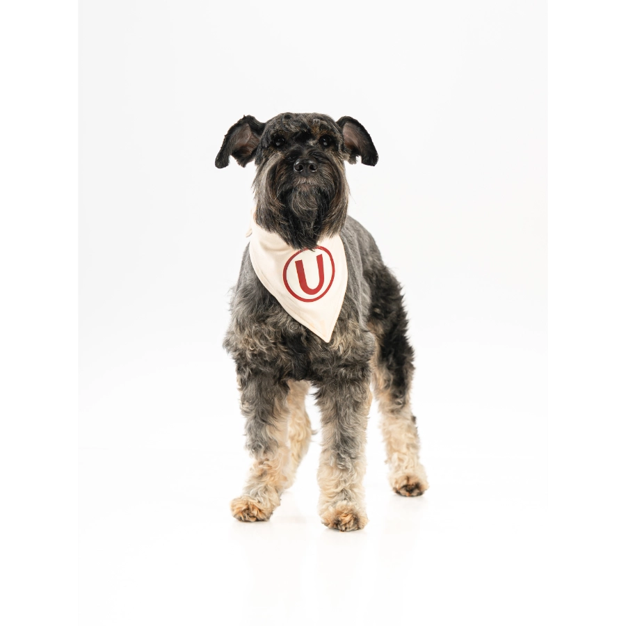Bandana Oficial Colecci&oacute;n 2026 Universitario, , large image number null
